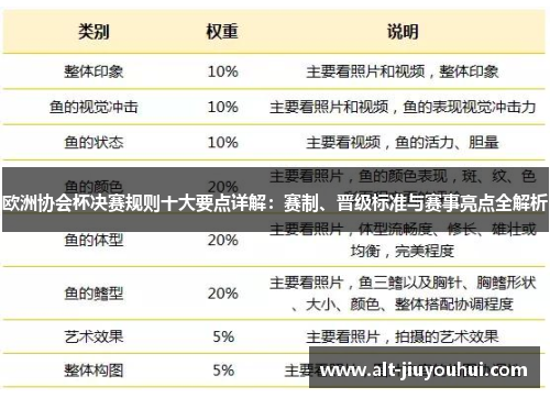 欧洲协会杯决赛规则十大要点详解：赛制、晋级标准与赛事亮点全解析