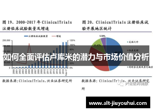 如何全面评估卢库米的潜力与市场价值分析